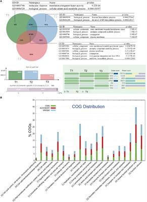 Pan-metagenome reveals the abiotic stress resistome of cigar tobacco phyllosphere microbiome